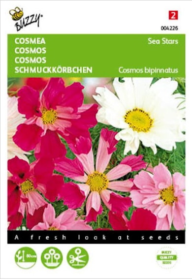 Cosmea Sea Stars Mix (Cosmos) 75 zaden BU